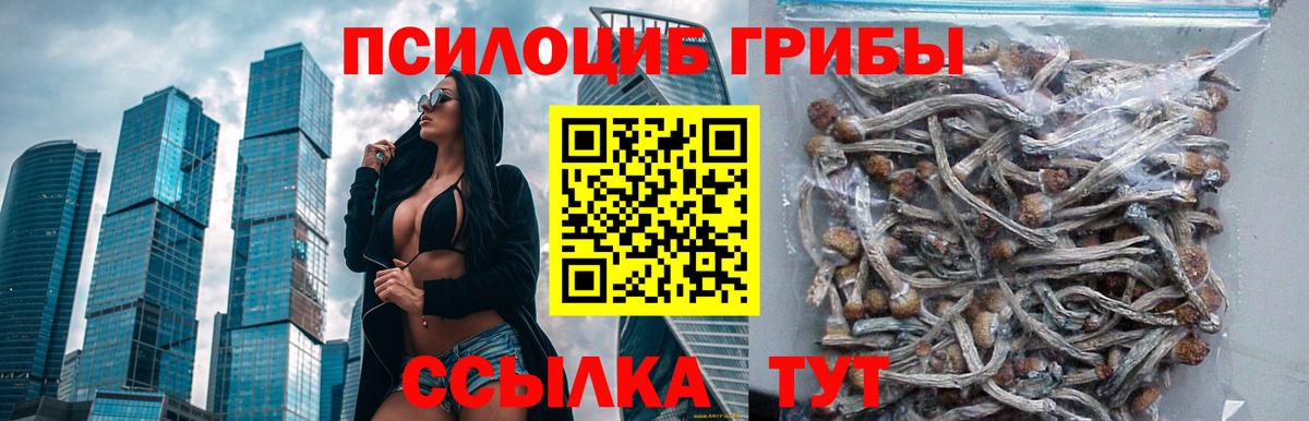 Псилоцибиновые грибы мицелий Рассказово